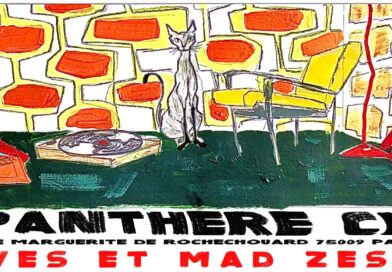GEMZ au Panthère Club